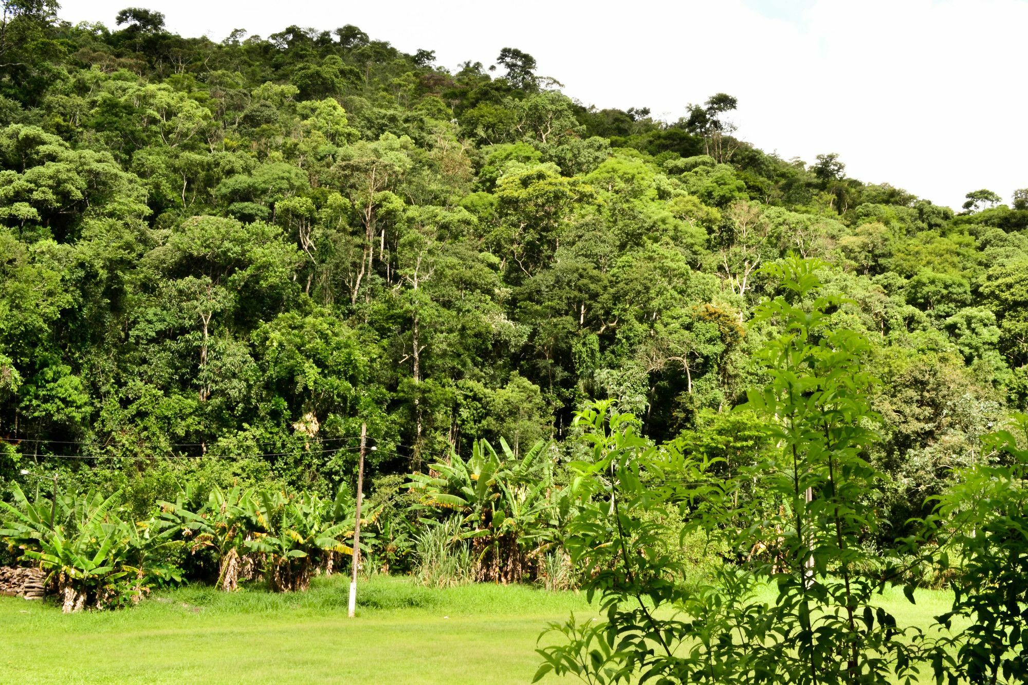 Vale Verde Penedo Hotel Exteriör bild